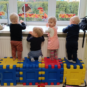 Ciekawy świat za oknem.