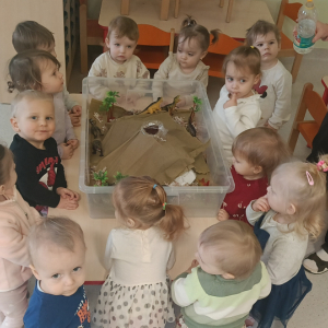 Eksperyment "Wulkan"