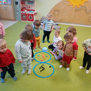 zajęcia dowolne w sali