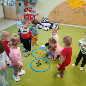 zajęcia dowolne w sali