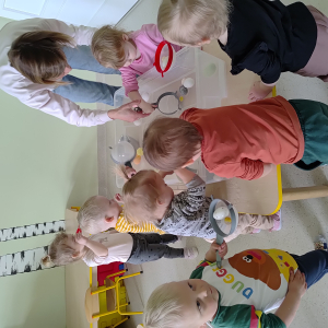 Zajęcia sensoryczne